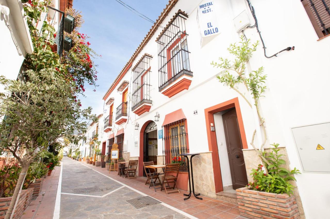 El Gallo Hostal Marbella