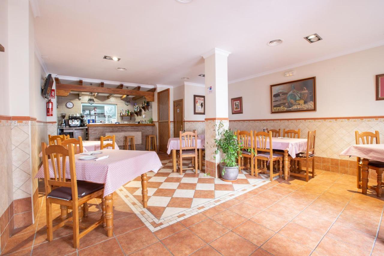 El Gallo Hostel