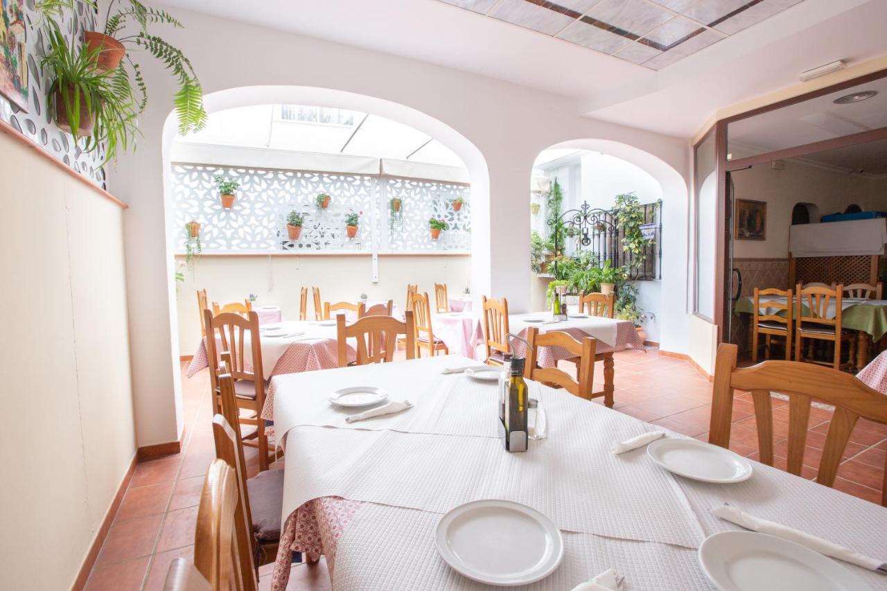 El Gallo Hostel Marbella